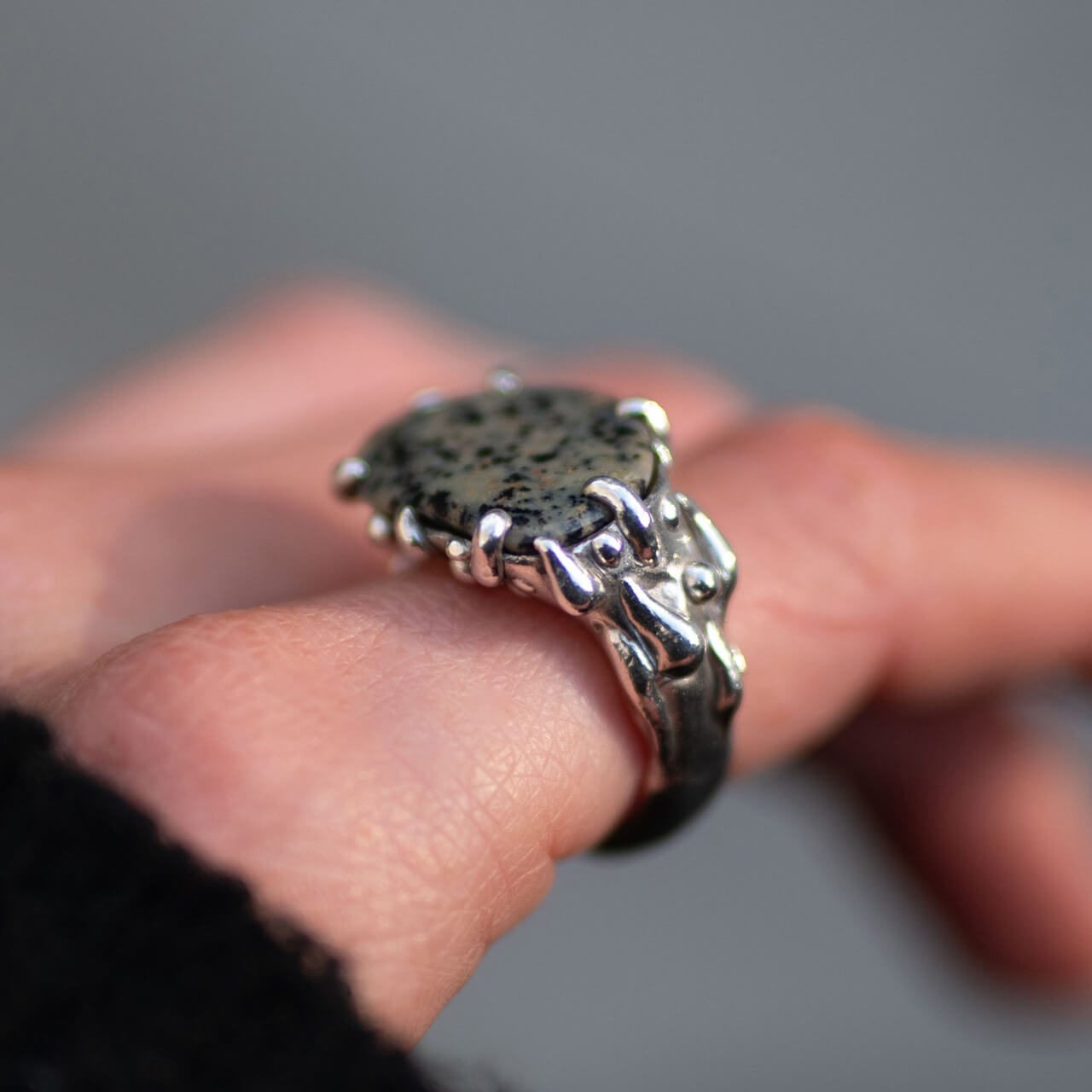 dalmatian_hand2_square