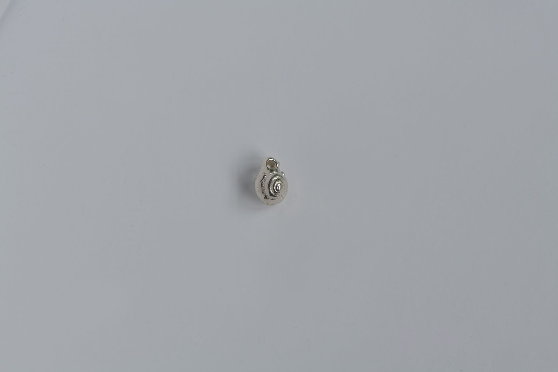 babyshell01