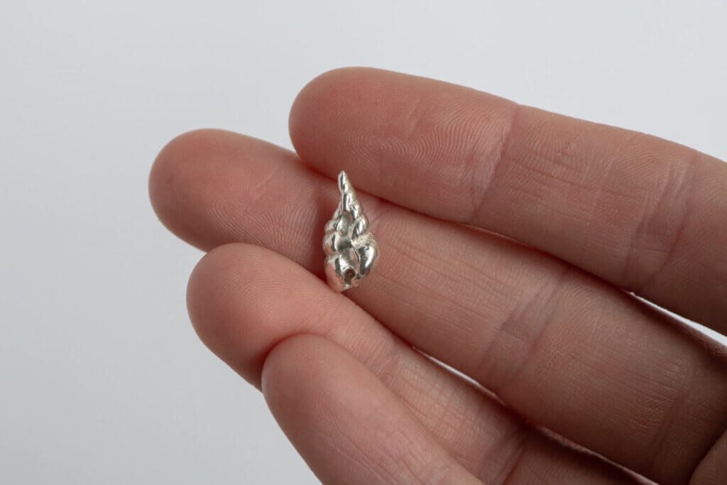 Tiny carrot shell