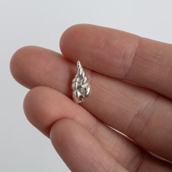 Tiny carrot shell